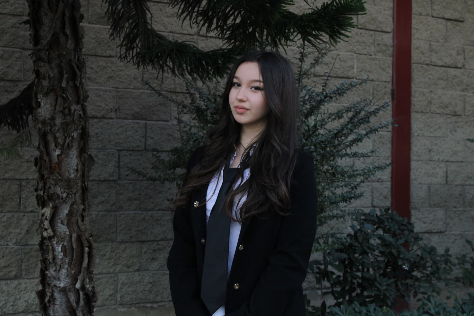 Deputy Director General